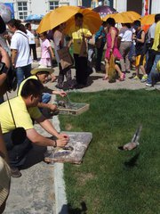 大同的寺庙：圆通寺