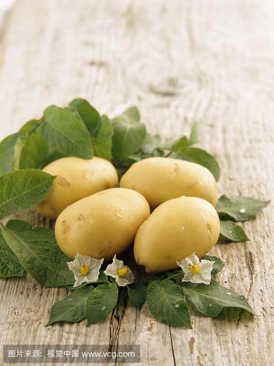 马铃薯,爱尔兰马铃薯,土豆,爱尔兰土豆