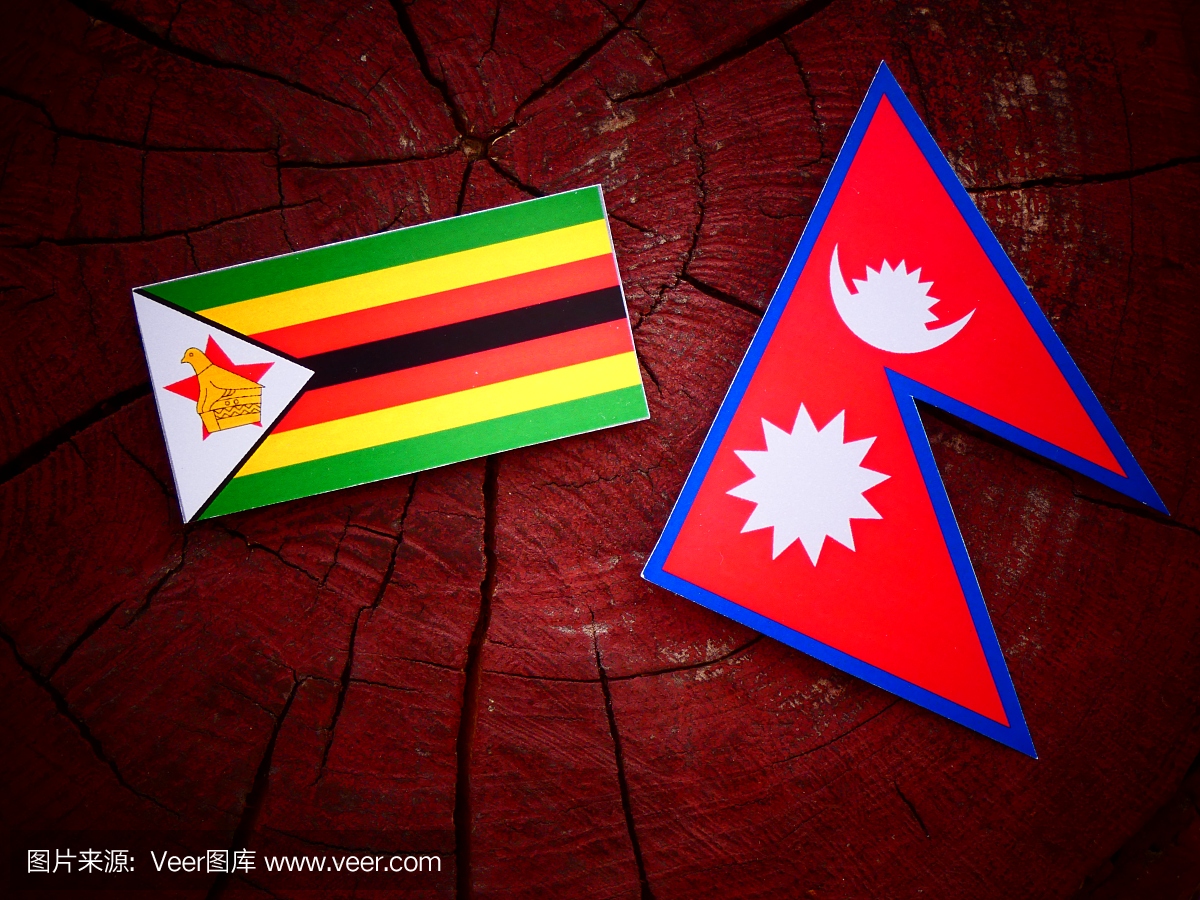津巴布韦国旗与尼泊尔国旗在孤立的树桩上