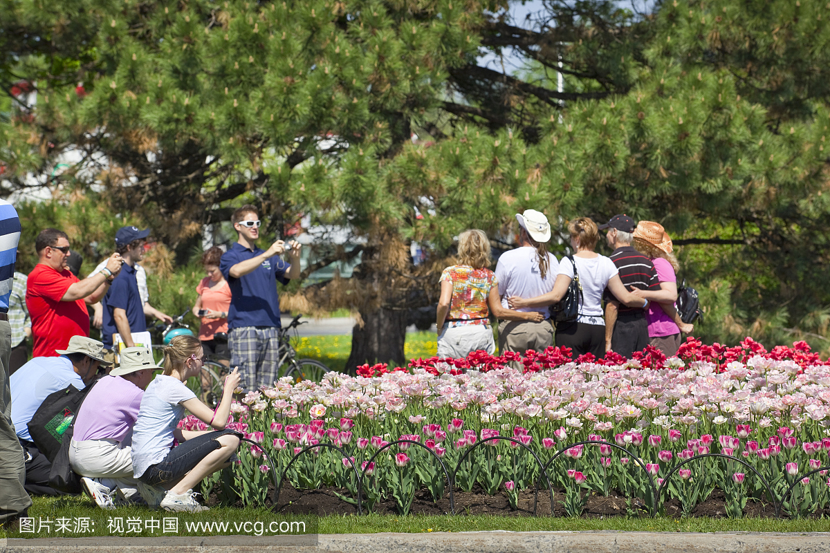 在2011年5月的渥太华郁金香节,渥太华,加拿大