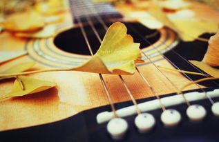 弹吉他 唯美图图库/意境图片唯美图/女孩弹吉他-15kb