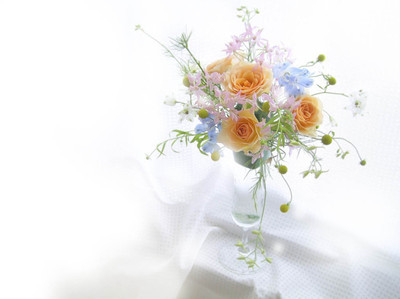 淡雅鲜花壁纸2【39p】-61kb