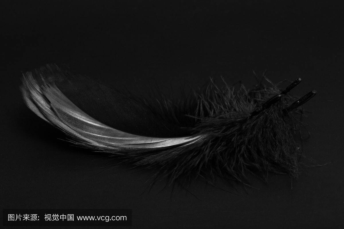 黑色背景,黑背景,黑色背景图片,在黑背景上