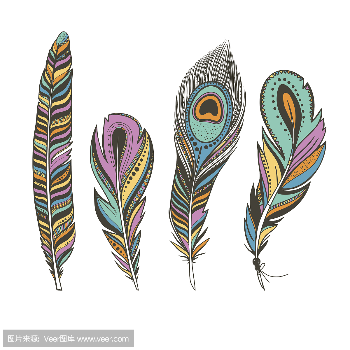 一套五颜六色的鸟类羽毛与民族装饰品