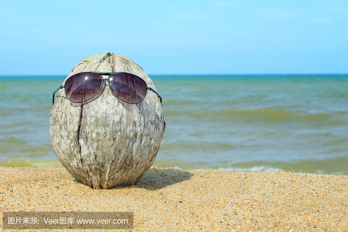 老椰子在海滩上休息