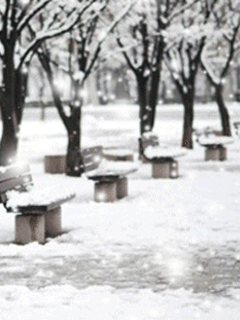 桌面下雪软件_win7下雪动态桌面_桌面下雪插件