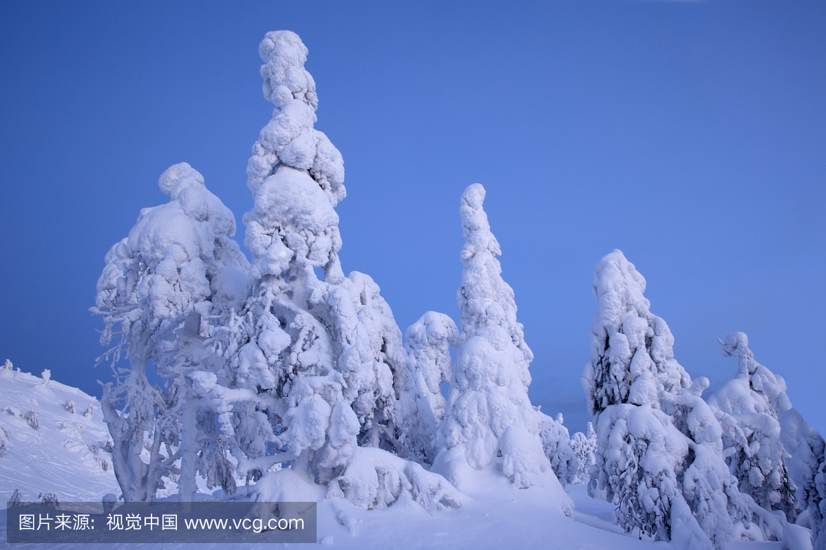 雪,户外,芬兰,天气