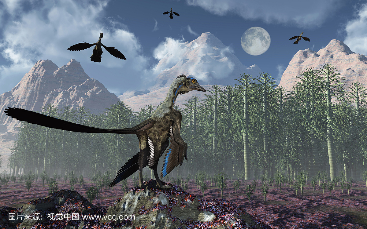 一只始祖鸟类的鸟类恐龙站在森林的边缘,而群