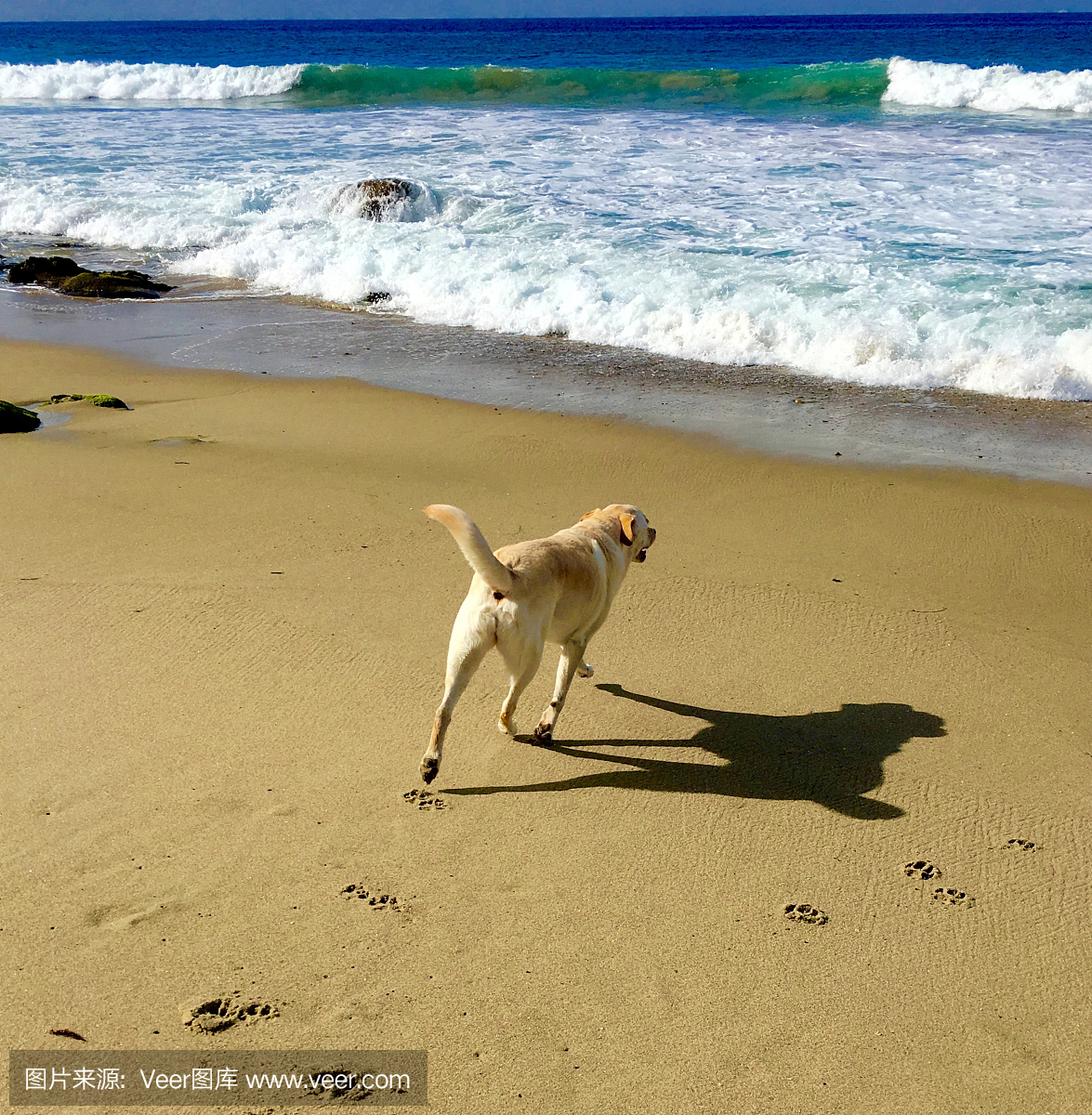 拉古娜海滩,Laguna海滩,小湖海滩,拉古纳海滩