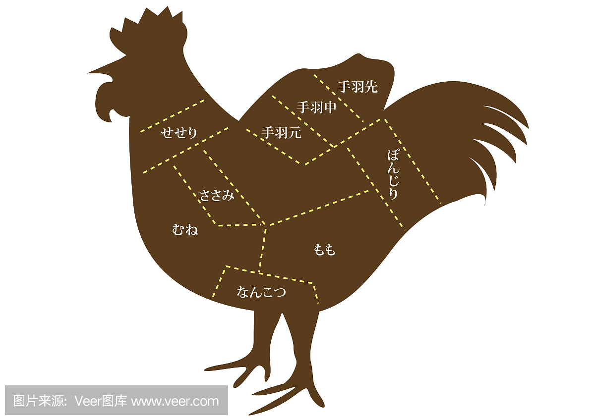 鸡的一部分的名字