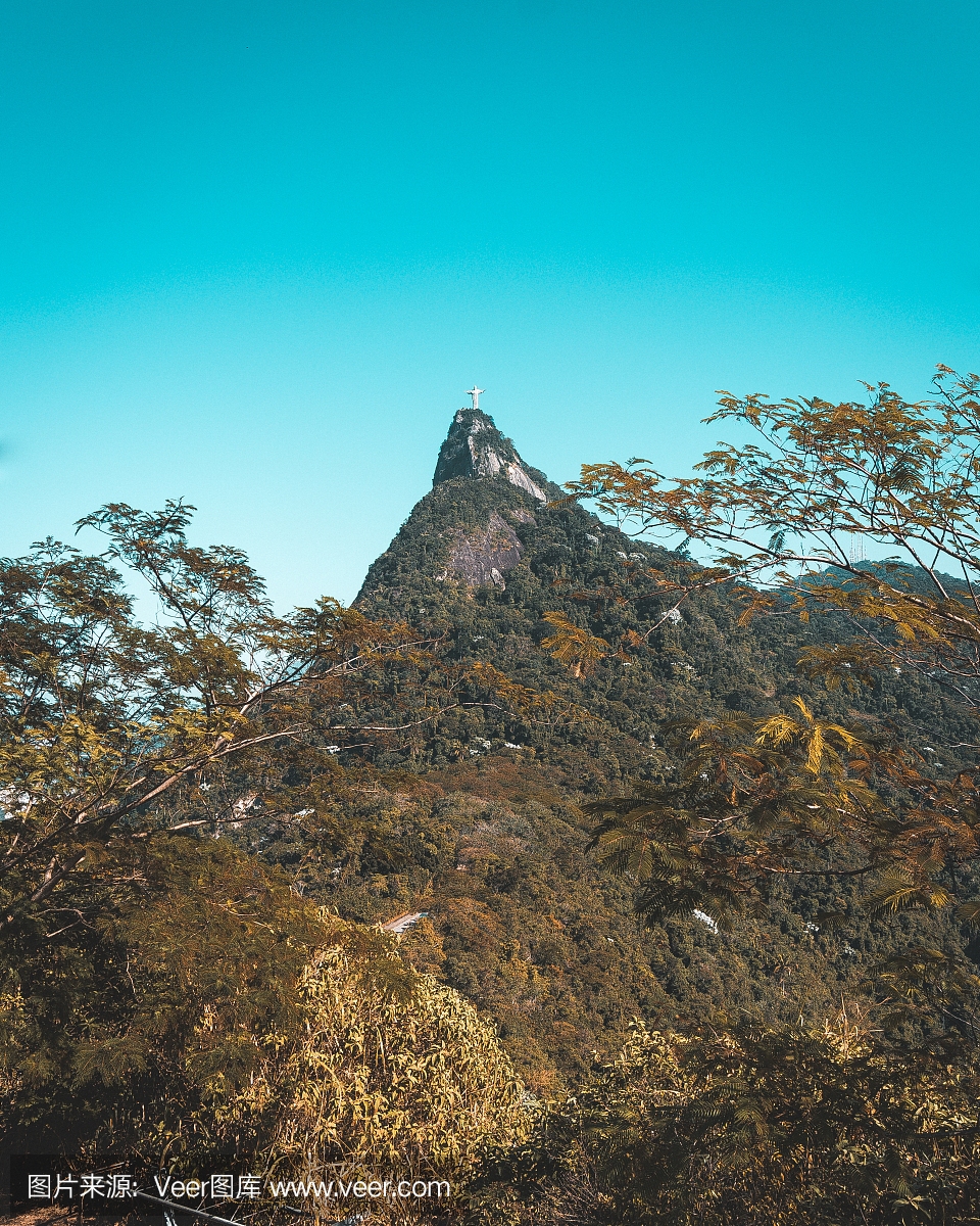 垂直画幅,图像,里约热内卢,著名景点