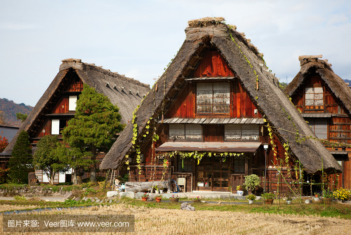 在日本岐阜县白川乡历史村的房子