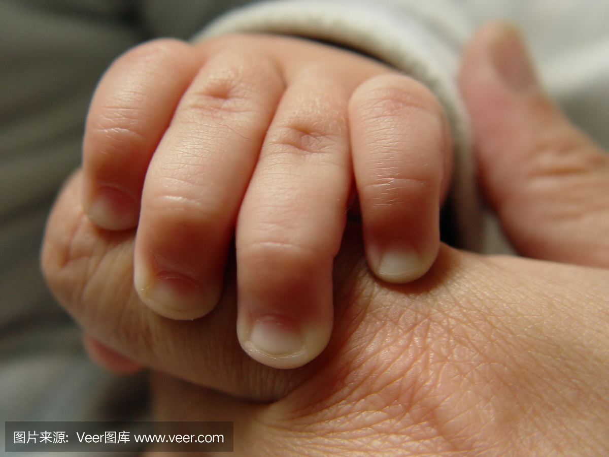 曾孙,曾孙辈,重孙,指节