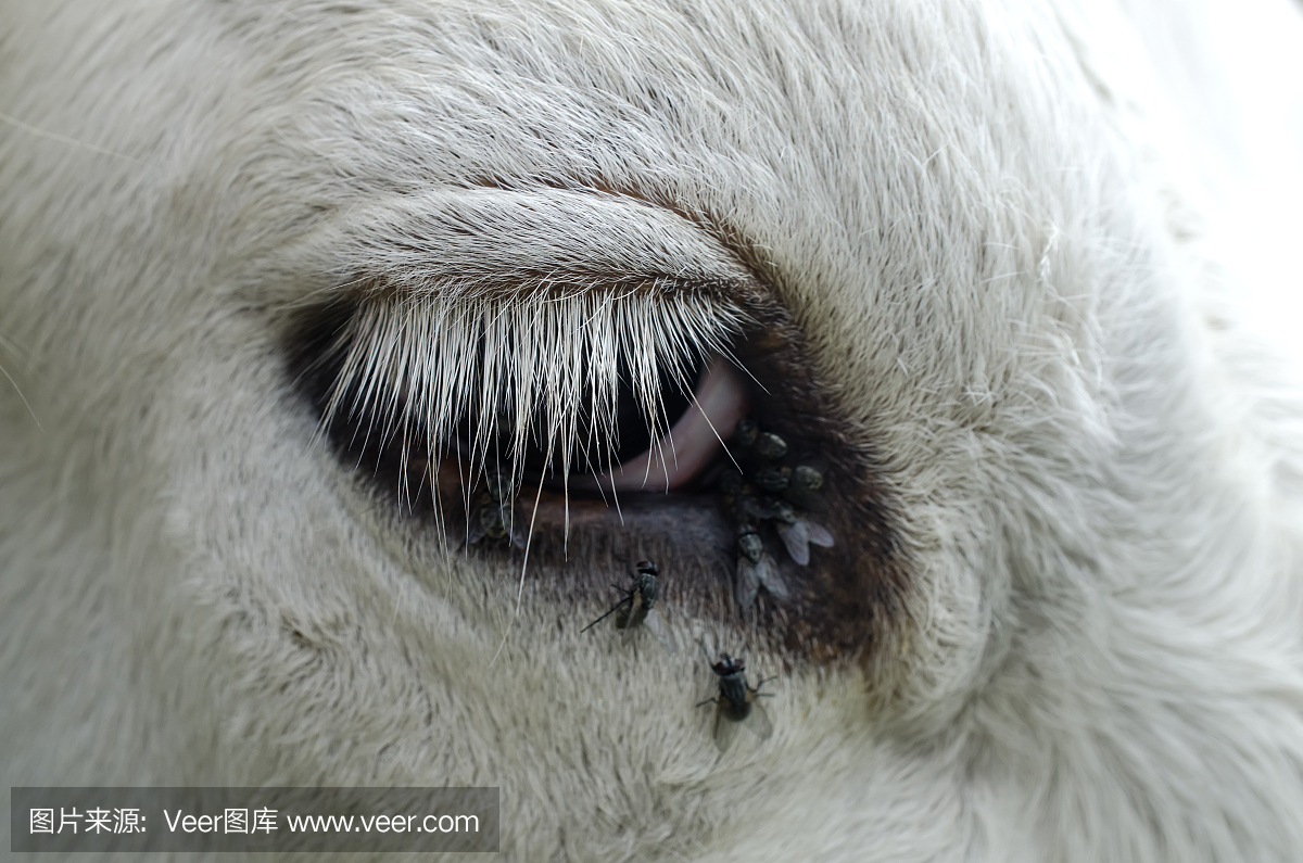 不舒服,不舒适的,不合意的,不安