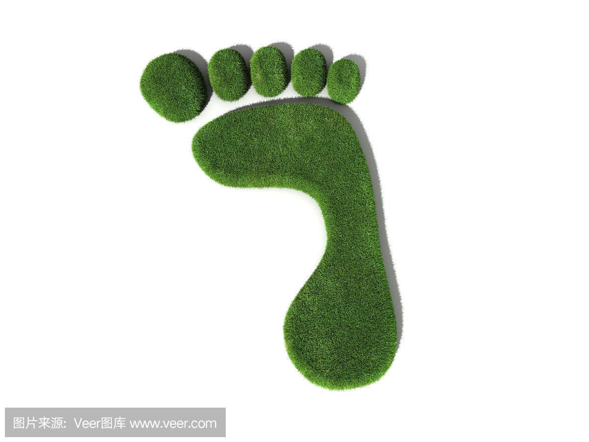 自然,脚印,水平画幅,绿色
