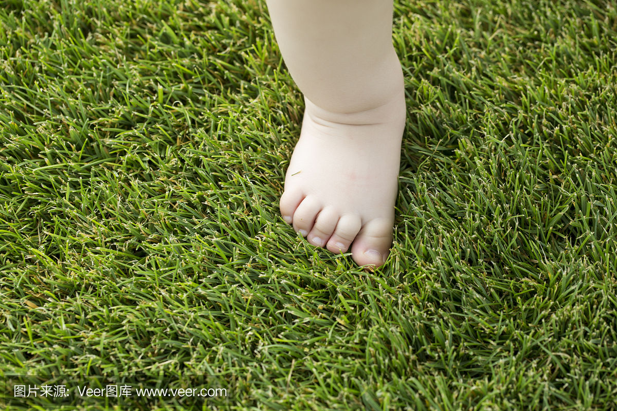 小小的裸露的宝宝脚在草地上