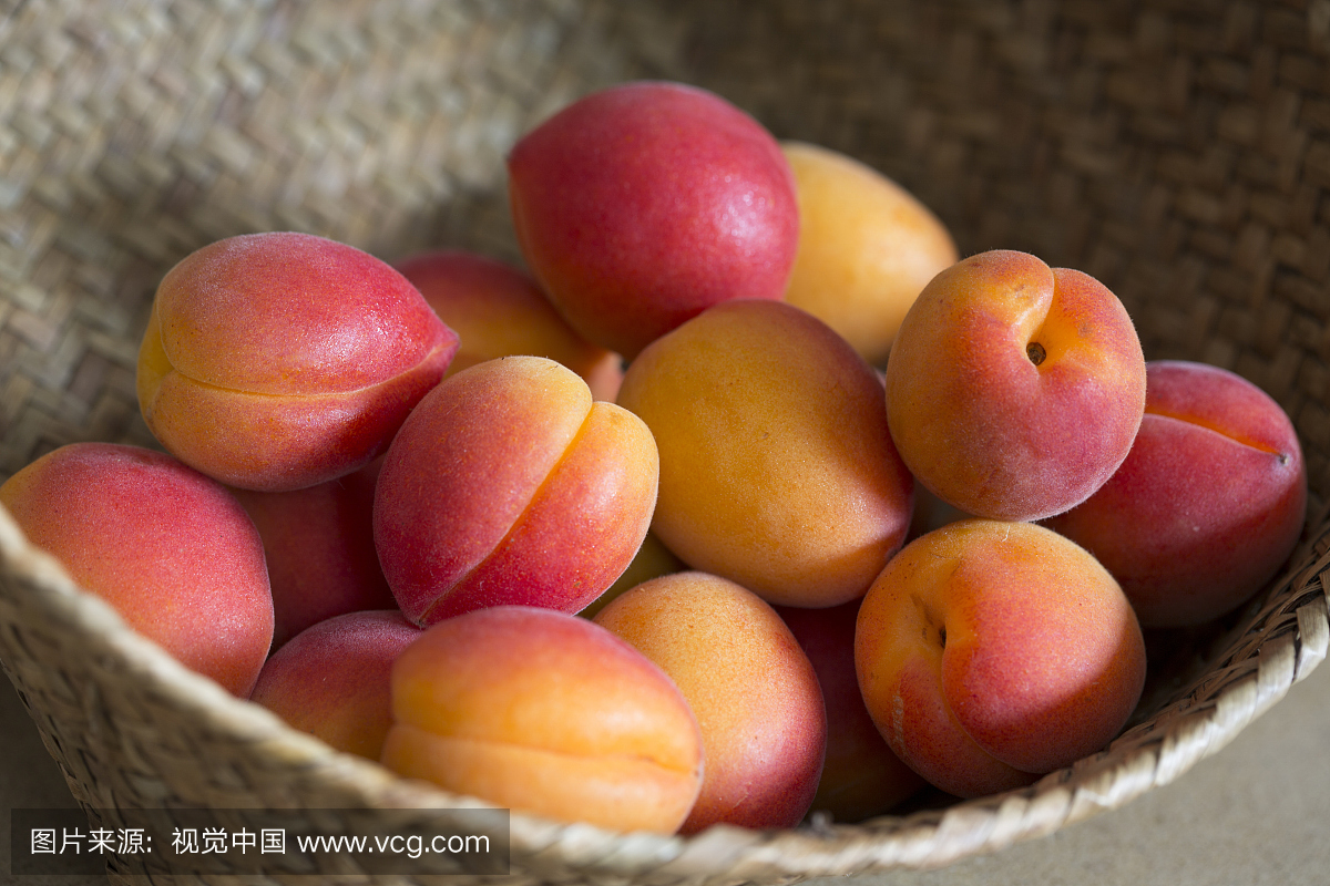 allorca grown two toned pink and red apricots i
