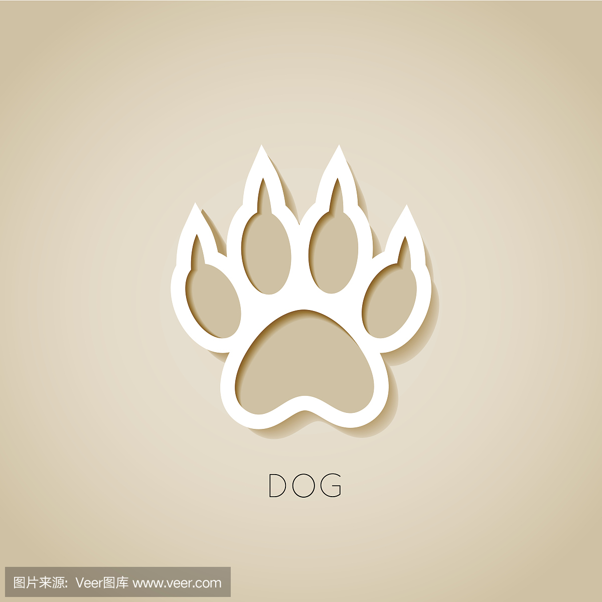 动物脚趾,动物脚尖,英语,英文