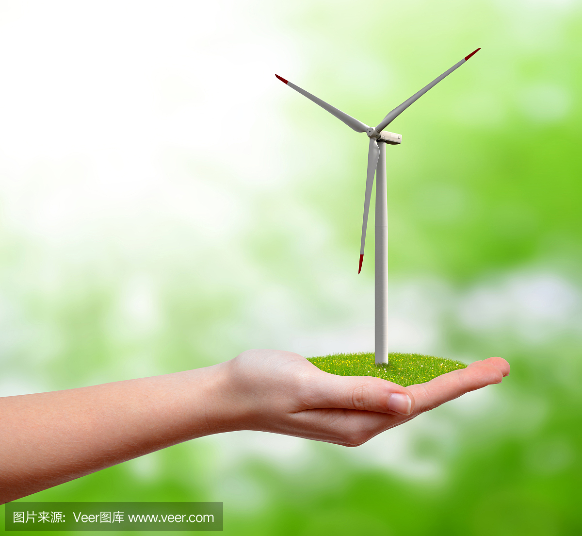 自然,选择,水平画幅,风力