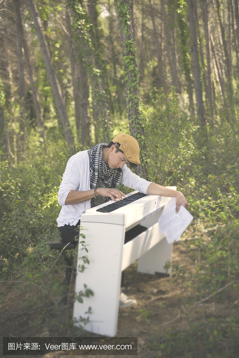 钢琴家在森林里