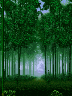 下雨的动态壁纸