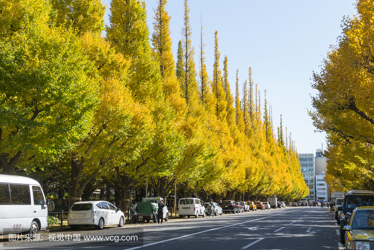 Thecarswhichparks along the rows of autumn le