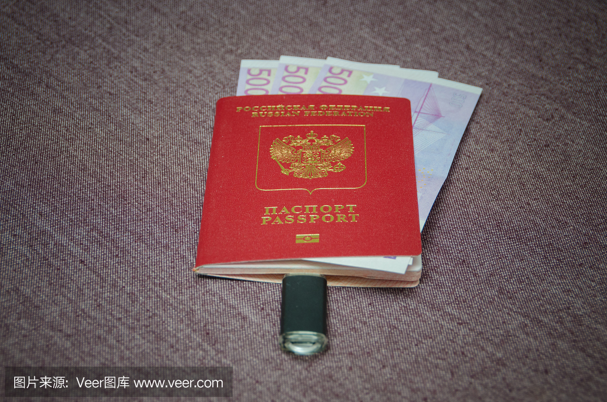 该欧元国家的公民的护照是连接的存储卡