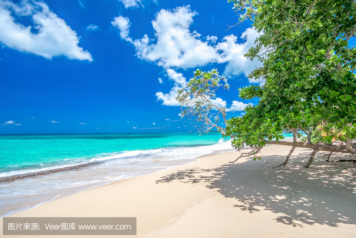 多米尼加共和国的Playa Rincon