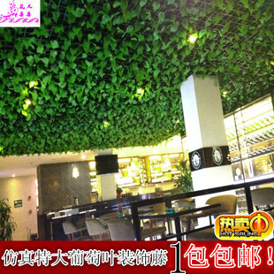 绿叶房顶怎么布置图片