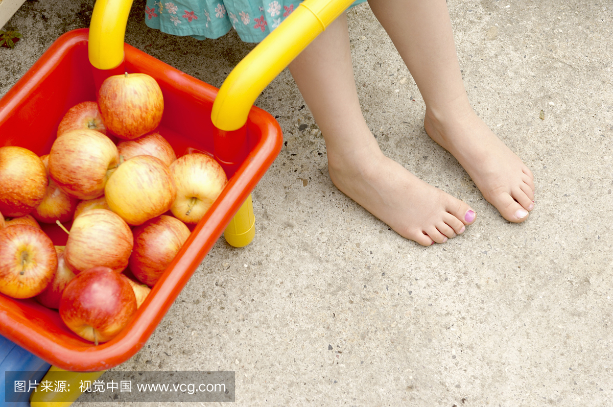 女孩脚旁边的苹果在独轮车