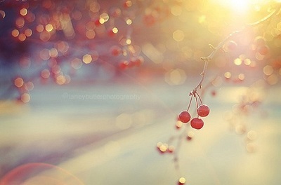 人生就是一场漫无目的的旅程_唯美意境图片-54kb