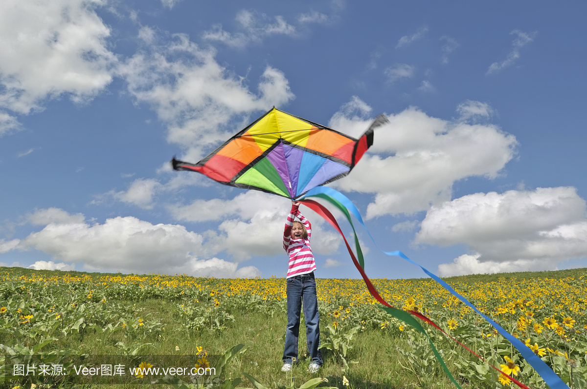 年轻女孩在花充满草地的苍蝇放风筝