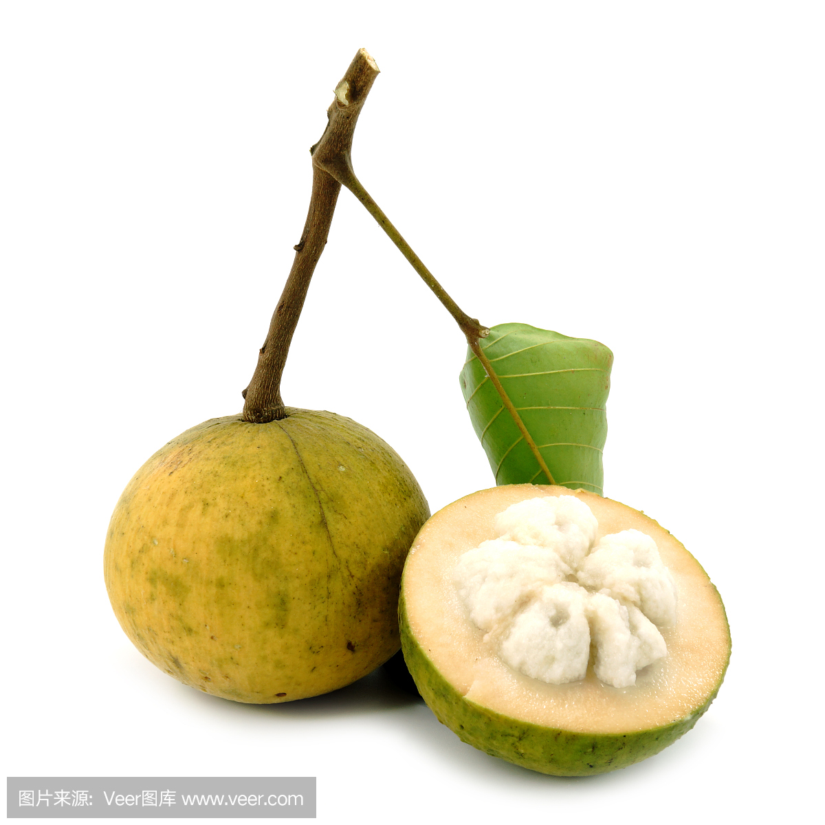 切成两分的,角的平分线,对截开的,掰开