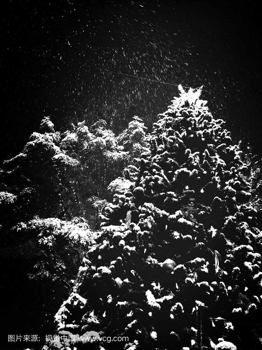 圣诞树低角度看雪下雪