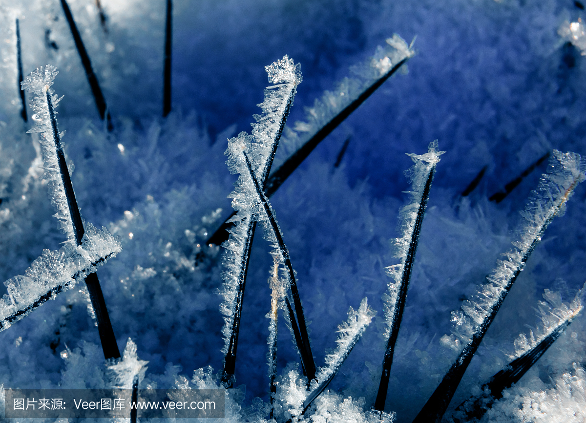 颤抖,抖动,发抖的,哆哆嗦嗦
