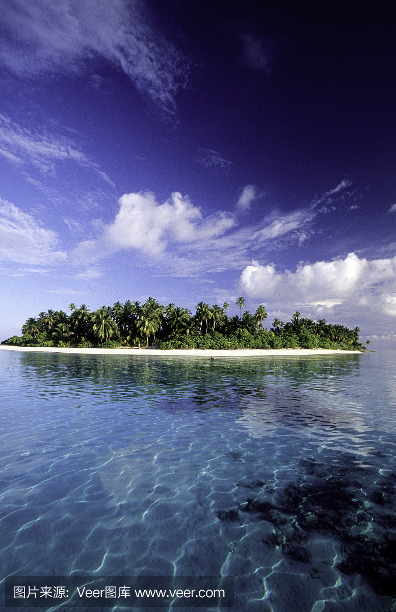 马尔代夫,南部环礁岛,岛屿。