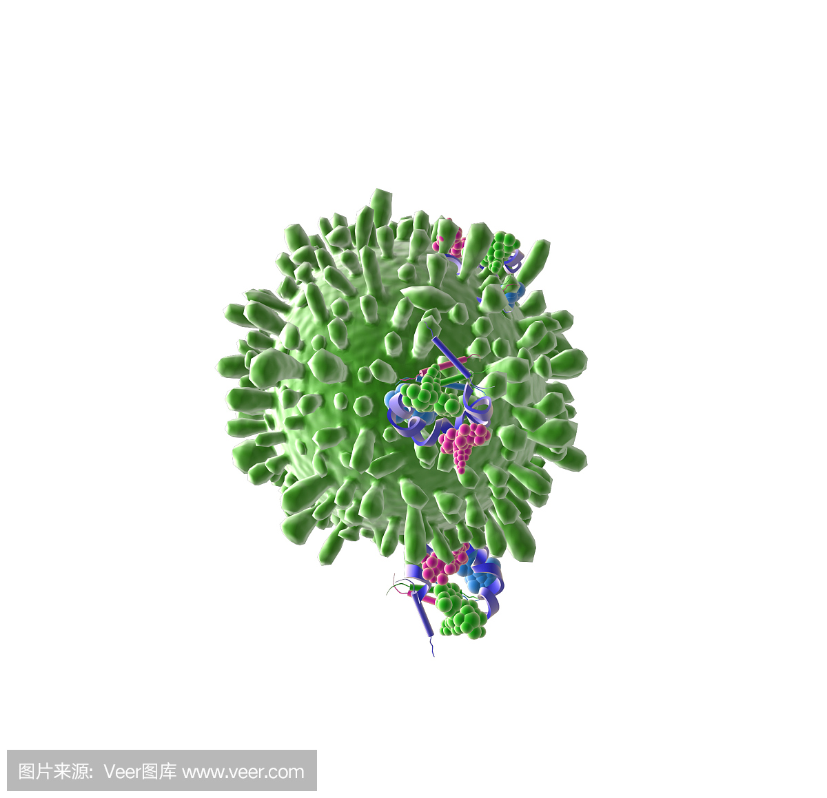 血小板,血小板细胞,凝血细胞,免疫系统