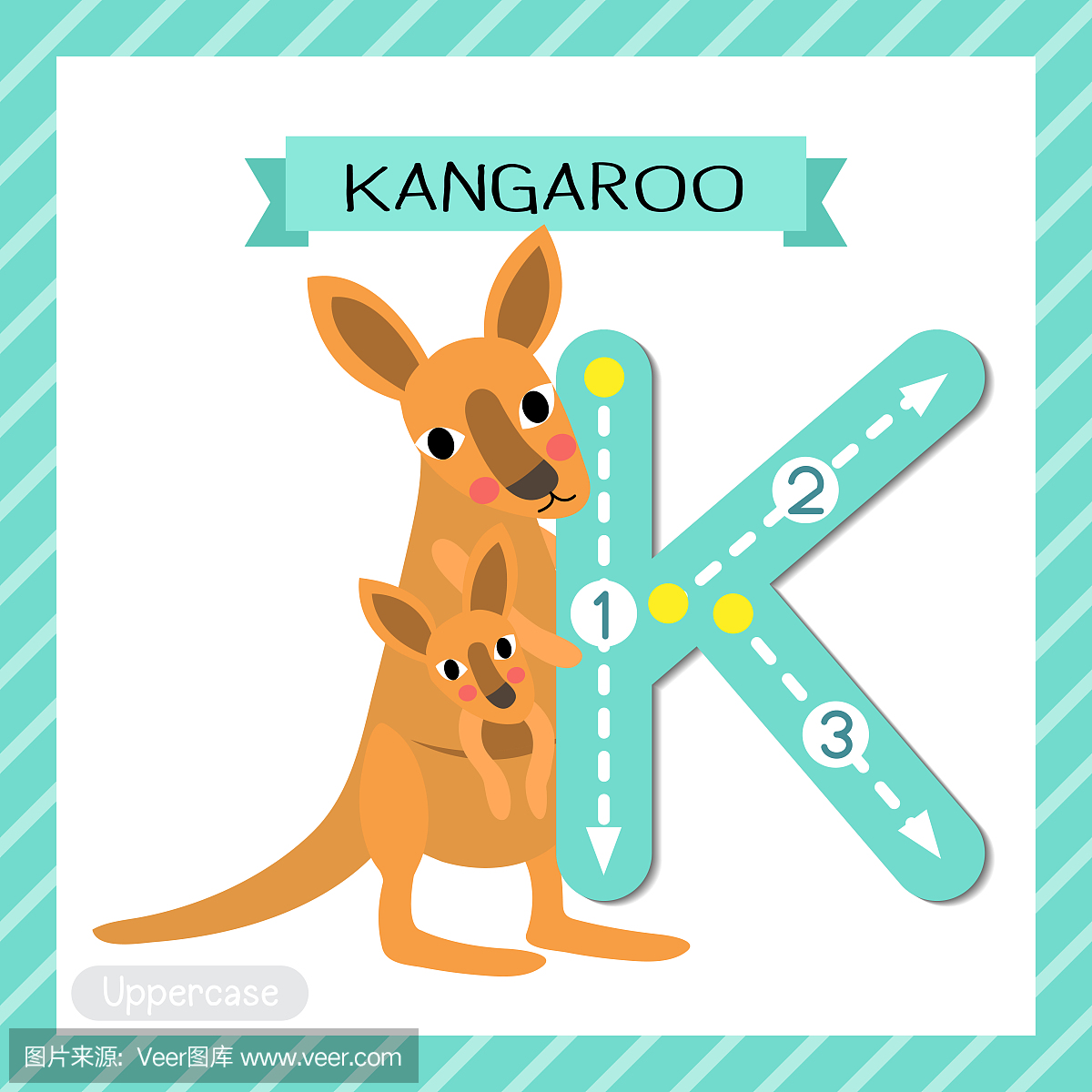 字典,袋鼠,英文字母K,绘画插图