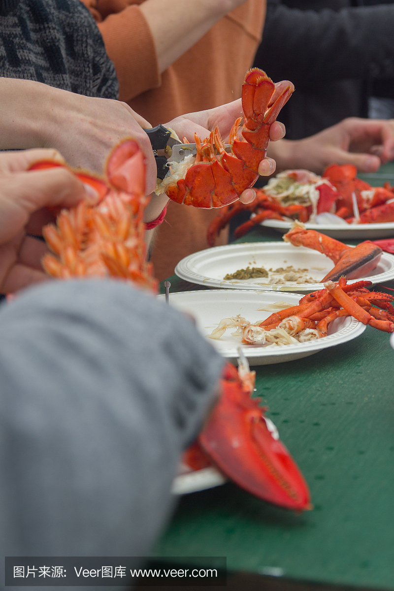 龙虾,大螯虾,澳洲龙虾,加拿大文明