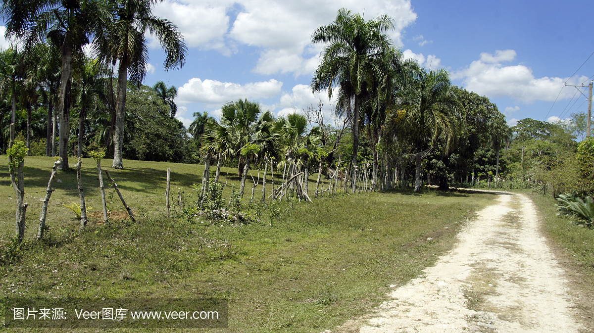 多米尼克山风景