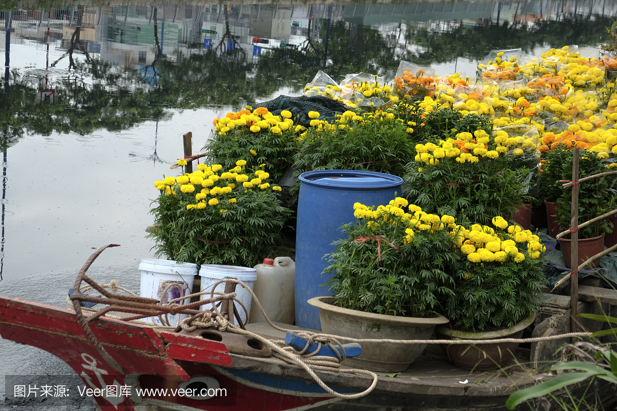 湄公河,澜沧江,胡志明市,越南胡志明市