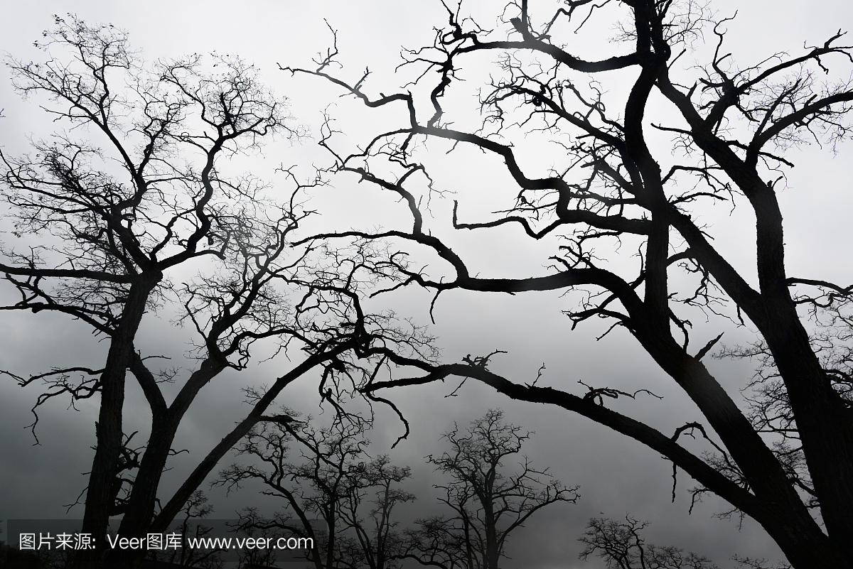 歇根西北角的国家公园,密歇根最美丽的国家公