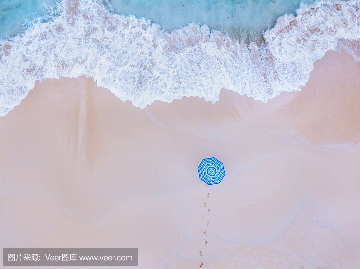 脚印,旅途,一个人,北美歌雀