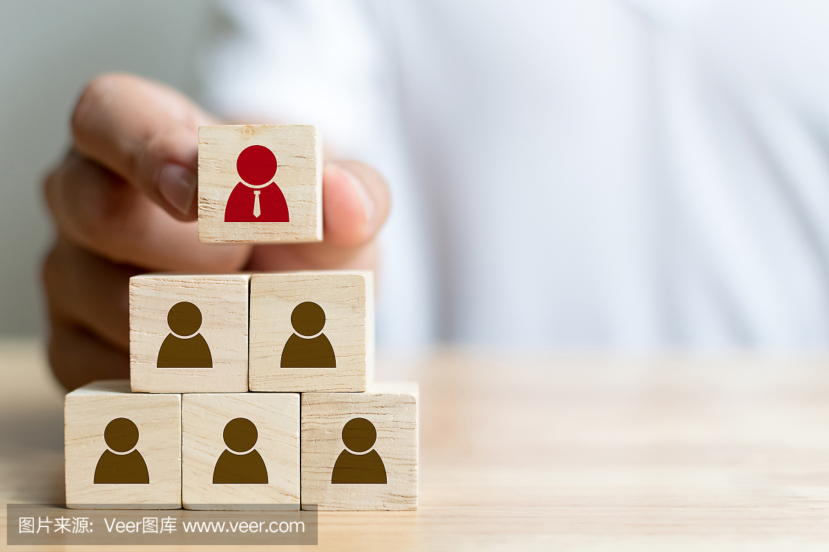 人力资源管理和招聘业务概念