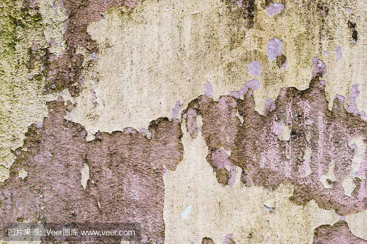 铺的墙上的纹理背景与水分的痕迹的绿色真菌垂