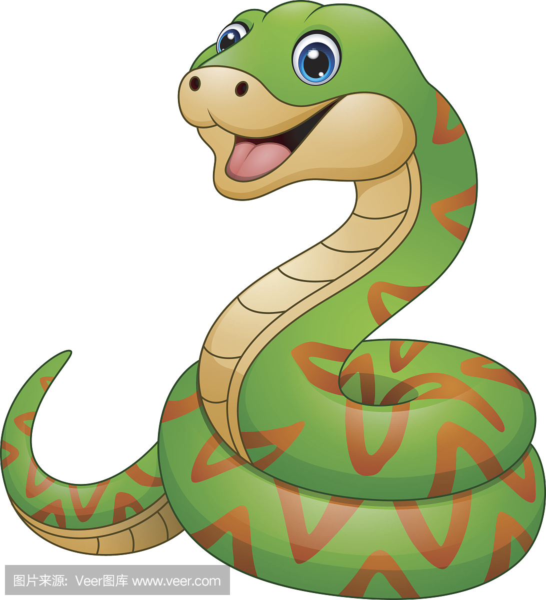 水蟒,森蚺,蚺蛇,蝰蛇