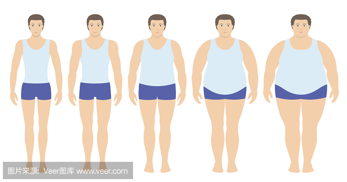 身体质量指数矢量图从体重过轻到极度肥胖的平
