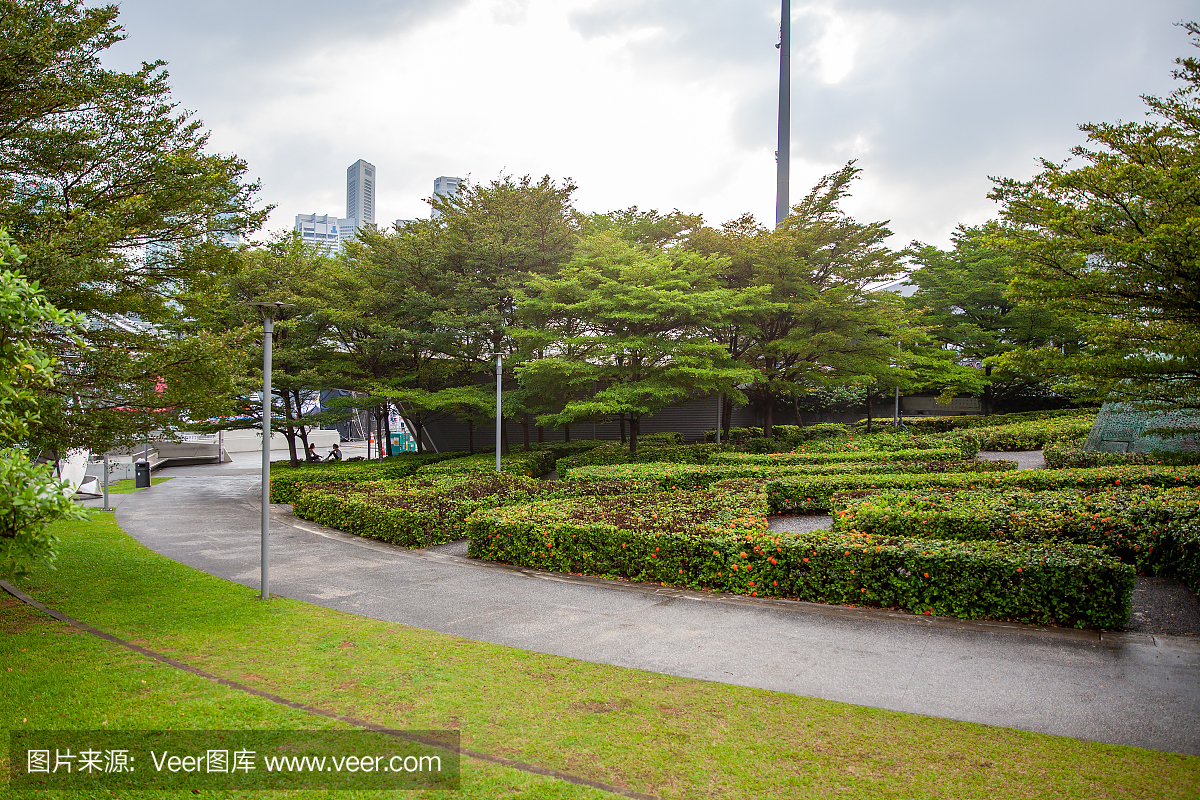 在新加坡公园的雨天