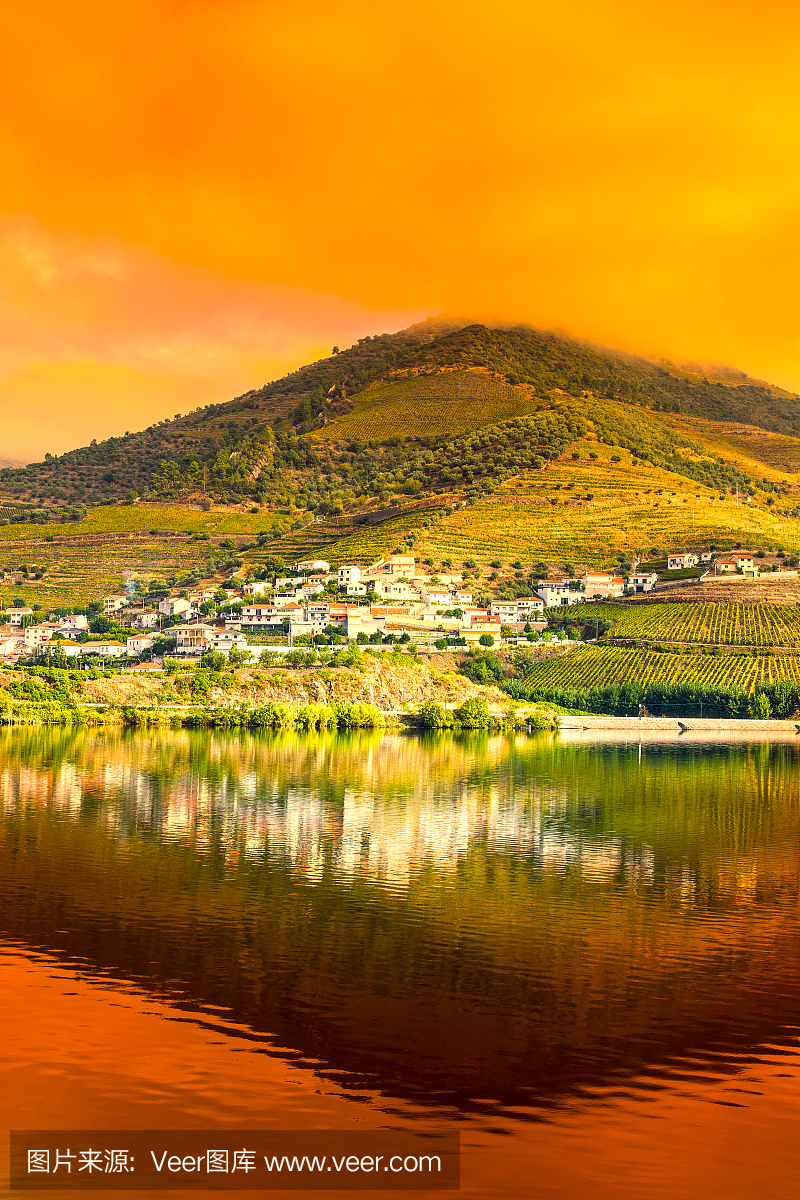 垂直画幅,葡萄牙,旅游,葡萄园