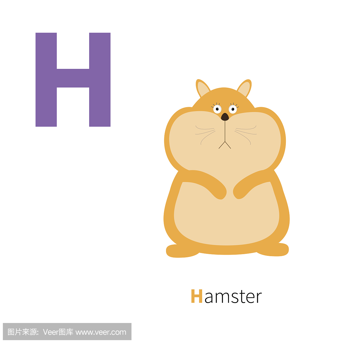 仓鼠,硕鼠,大老鼠,大田鼠